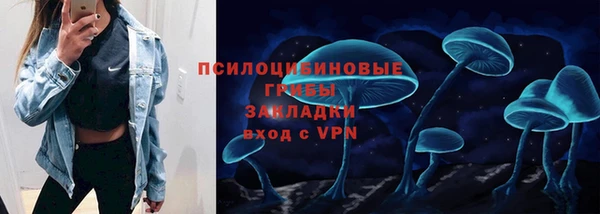 сатива Белокуриха
