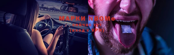 сатива Белокуриха