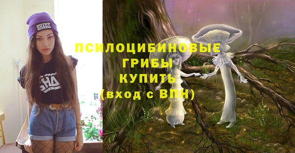 сатива Белокуриха