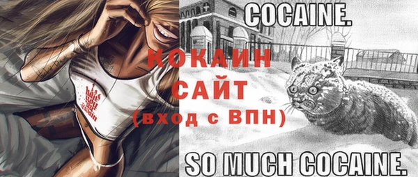 сатива Белокуриха