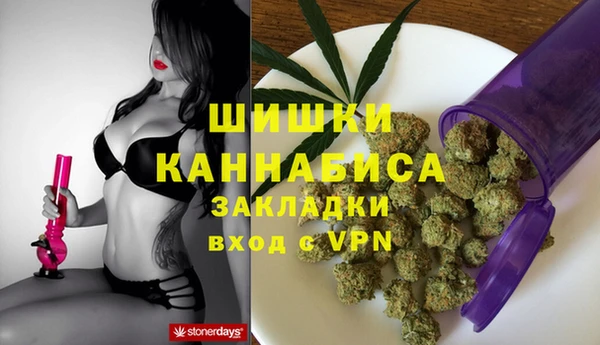 сатива Белокуриха